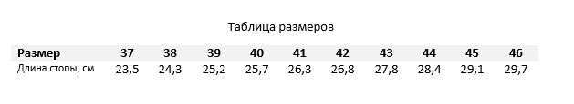 Bravo-zing-evo-revive-apollo все.JPG